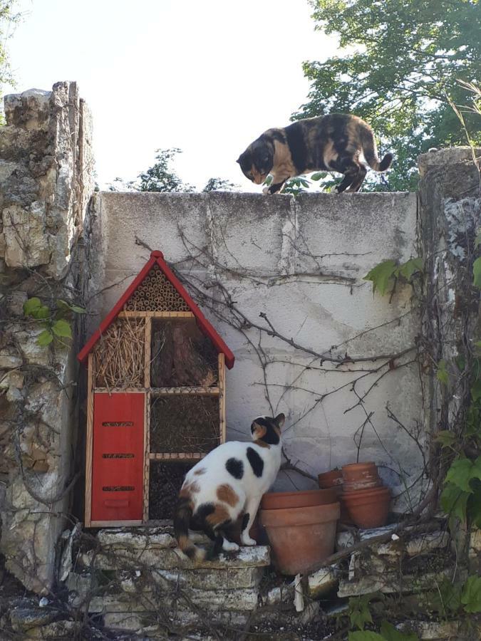 Mareil-sur-Mauldre Au Chat Perche מראה חיצוני תמונה